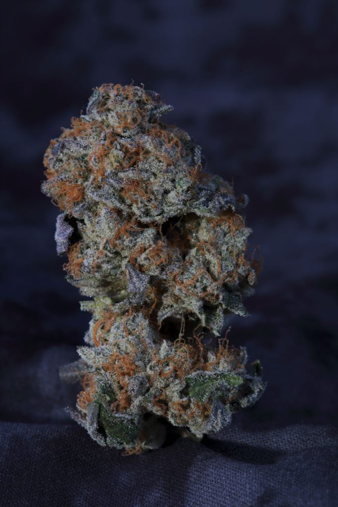 Wedding Cake cannabis flower with frosty trichomes